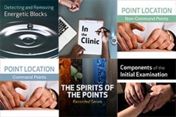 Net of Knowledge online trainings